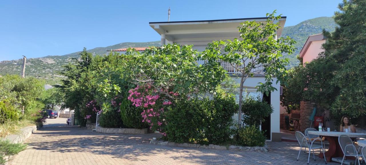 Resort Haus Toma Cesarica Bagian luar foto