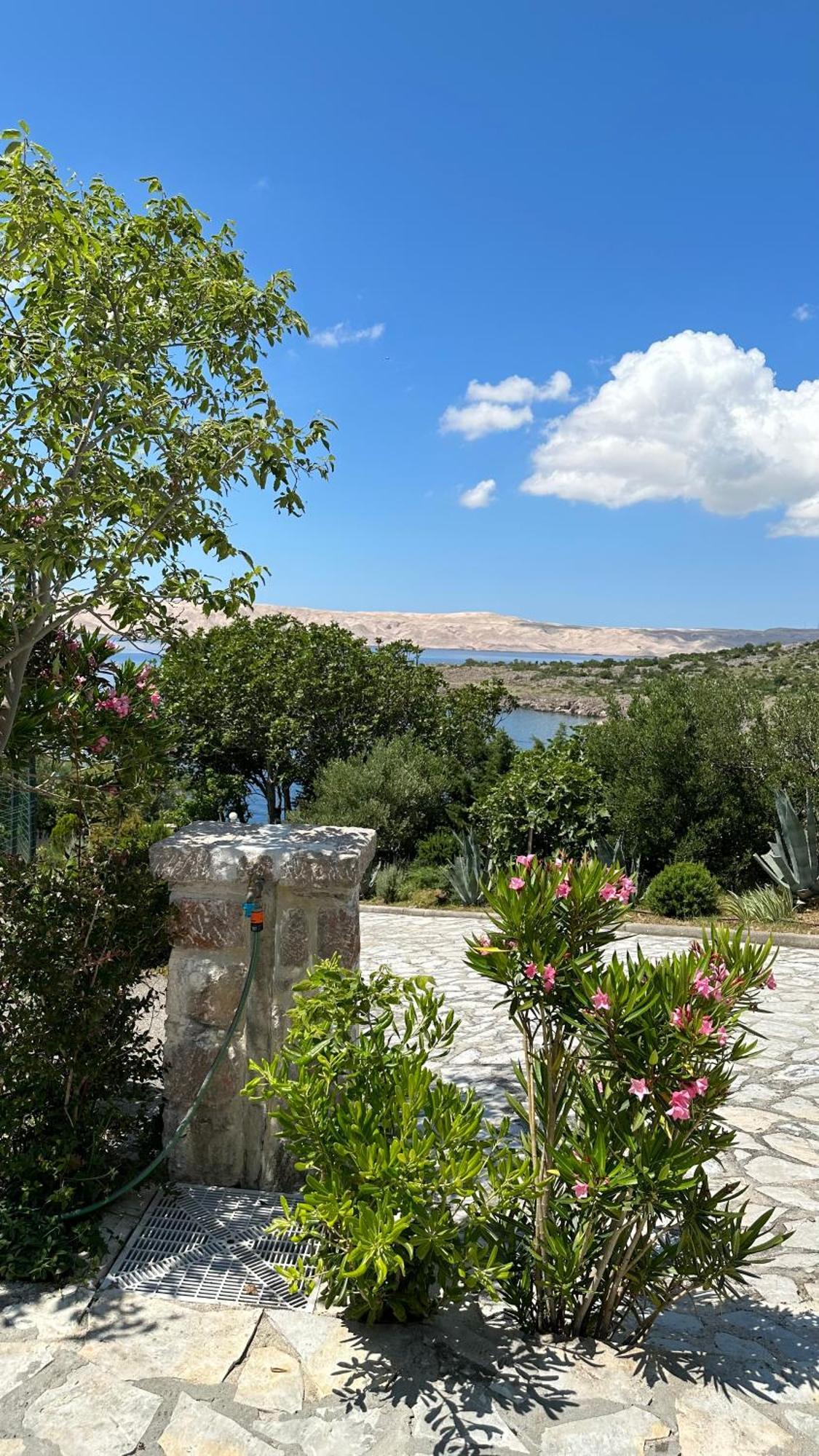 Resort Haus Toma Cesarica Bagian luar foto