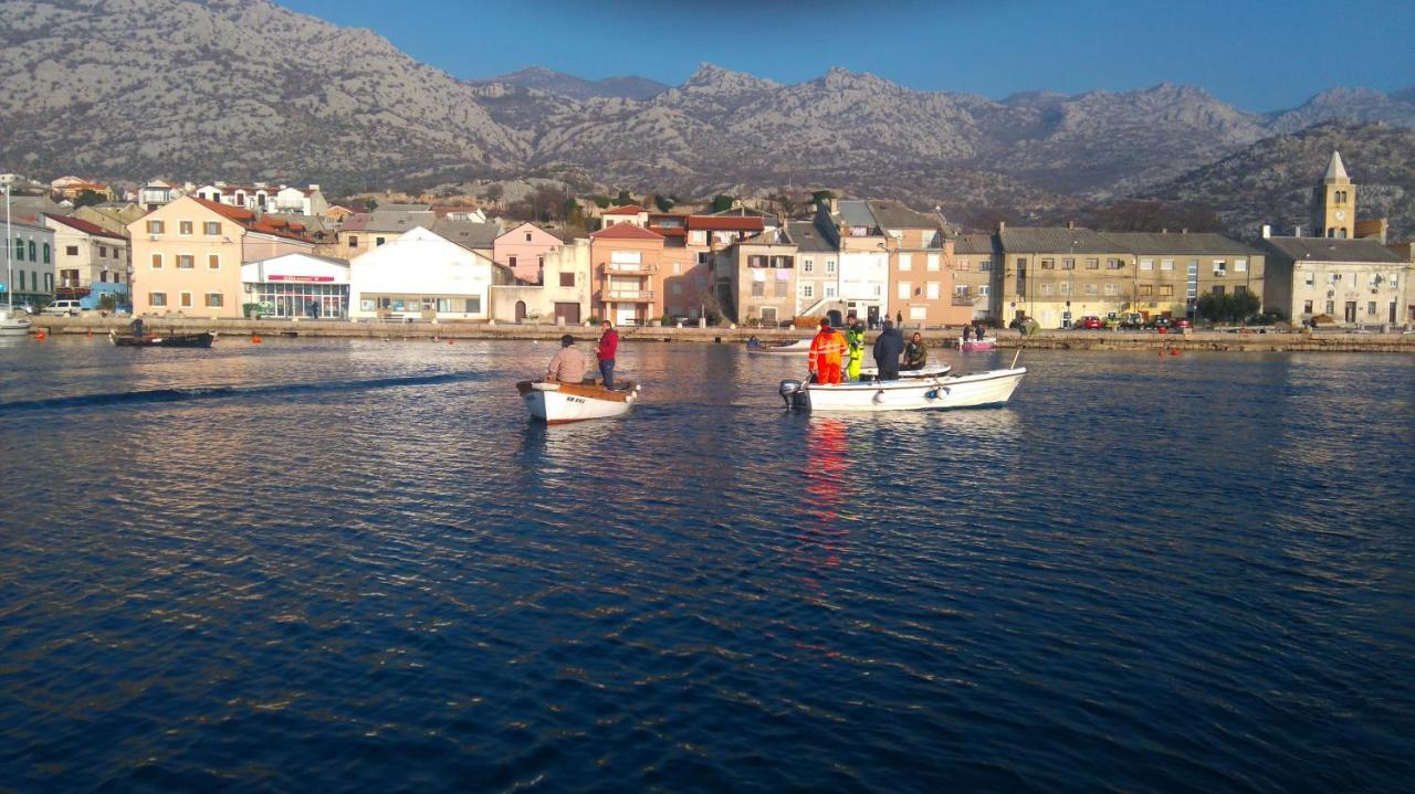 Resort Haus Toma Cesarica Bagian luar foto