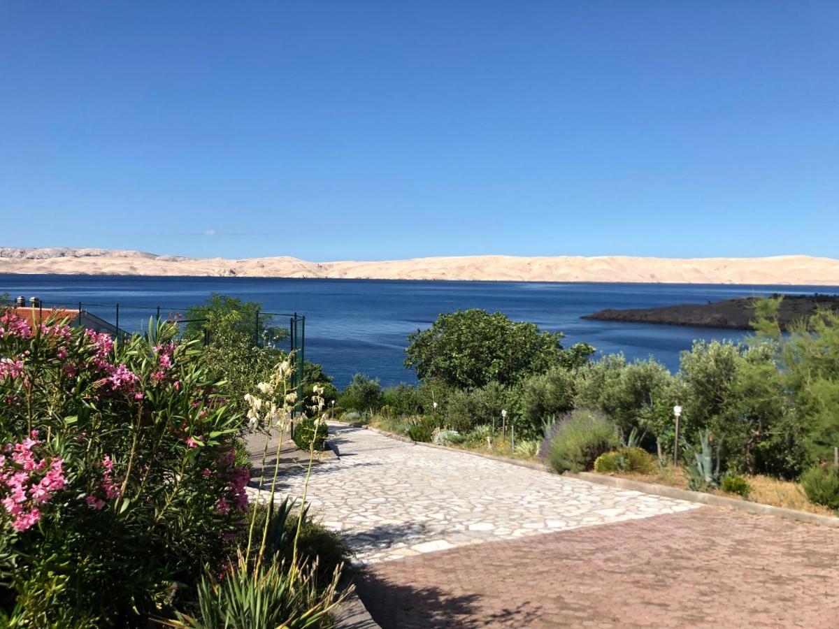 Resort Haus Toma Cesarica Bagian luar foto