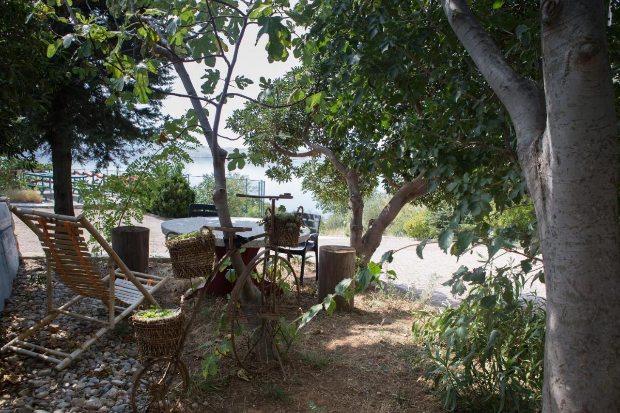 Resort Haus Toma Cesarica Bagian luar foto
