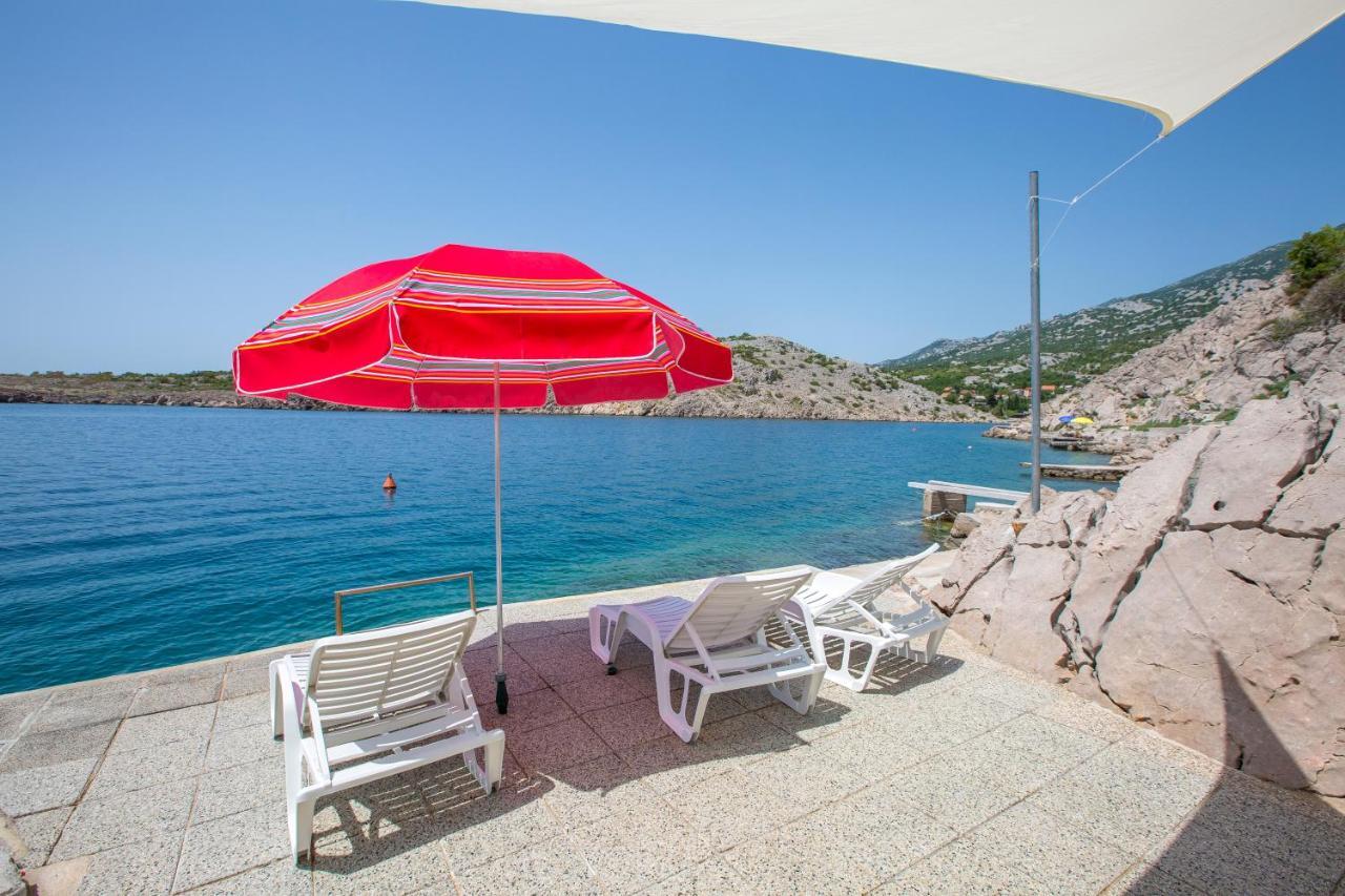 Resort Haus Toma Cesarica Bagian luar foto